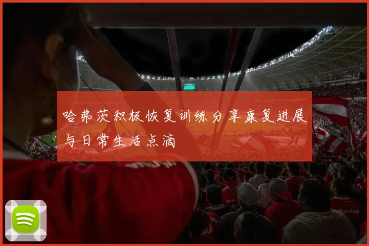哈弗茨积极恢复训练分享康复进展与日常生活点滴