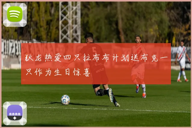狄龙热爱四只拉布布计划送布克一只作为生日惊喜