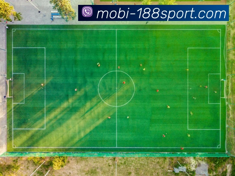 188体育平台生态图