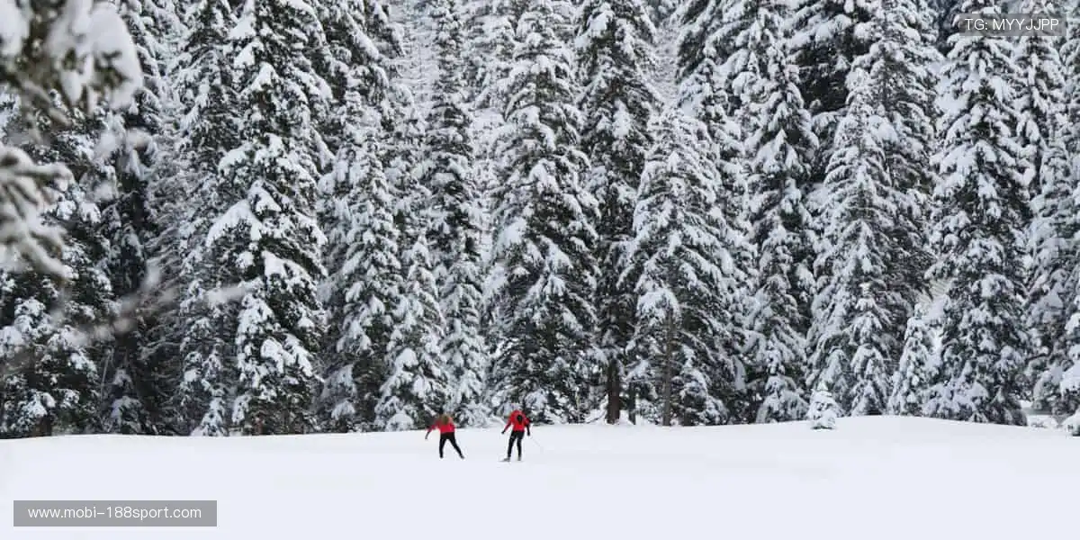🎯 装备你的热爱,从这里开始!